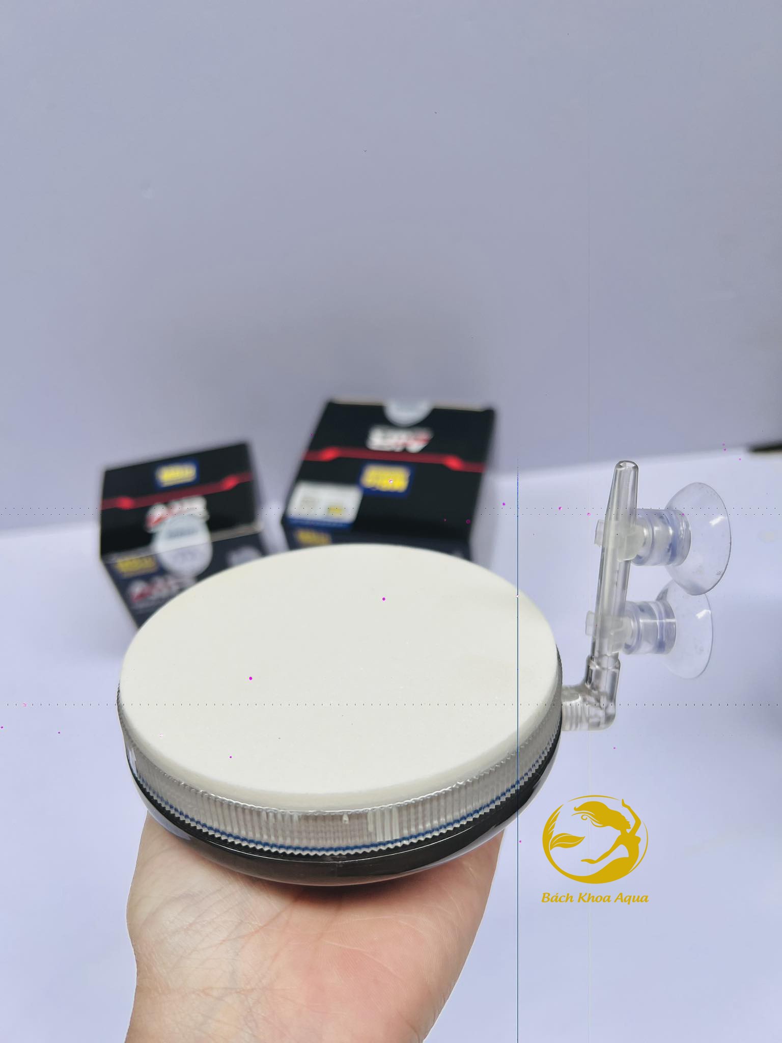 Đĩa sủi Oxy siêu mịn MBio 6cm - 10cm cho bể cá cảnh thủy sinh